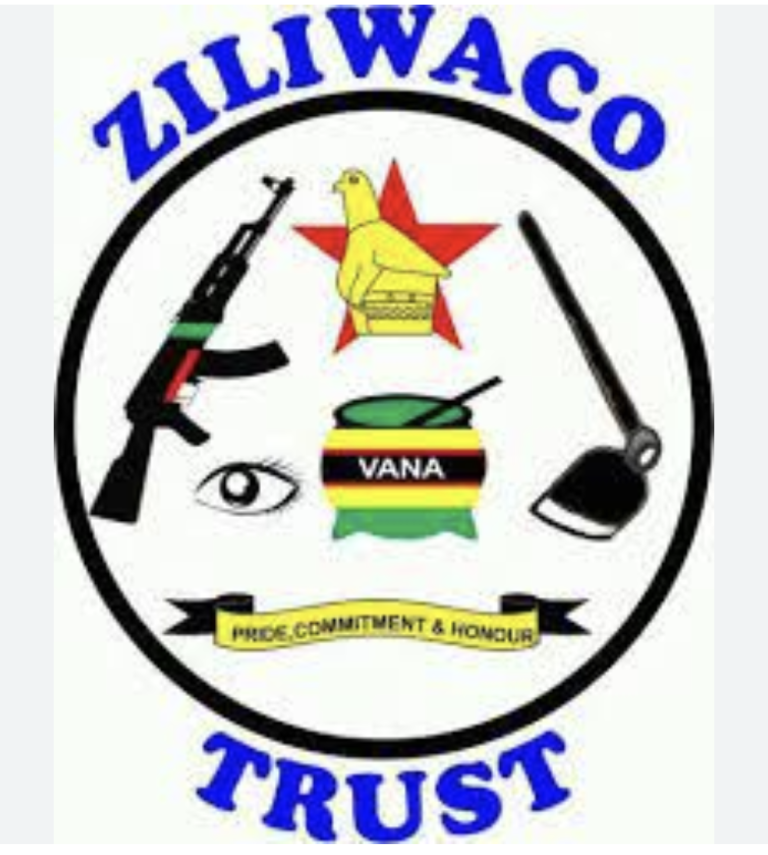Zimbabwe National Liberation War Collaborators Association speaks on elections