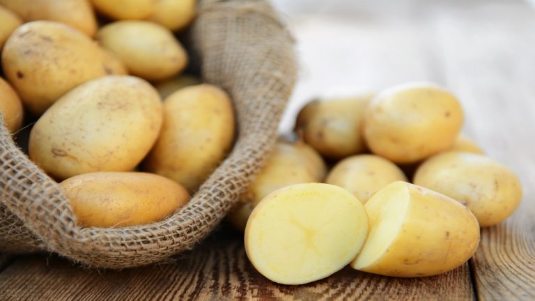 Farmers eye export of Irish Potatoes