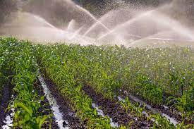 Rehabilitated Mushandike Irrigation Scheme benefitting farmers