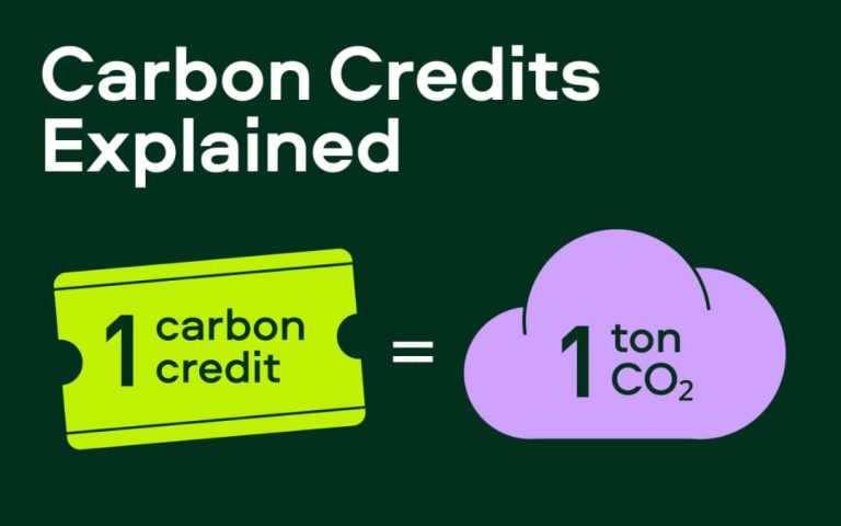 Understanding carbon credits, part 1