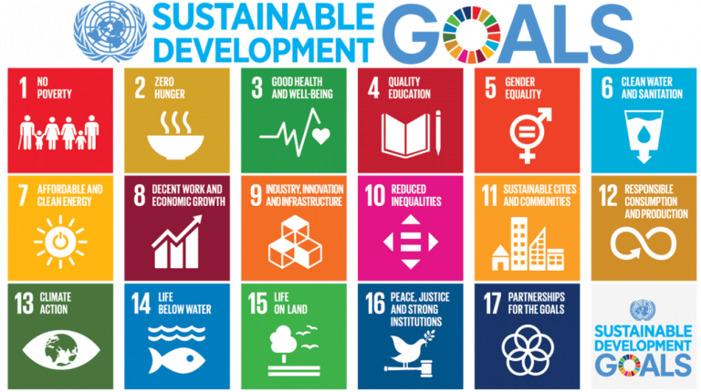 Zimbabwe gears up for third SDG review