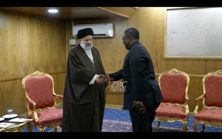 VP Chiwenga meets Iranian President