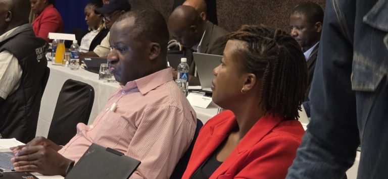 Zimbabwe integrates health into climate strategy with new plan